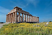 Selinunte the temple hill - Temple E. Perhaps dedicated to Era (Juno), (V c BC), it was reconstructed in the mid-fifties with  the anastylosis method.